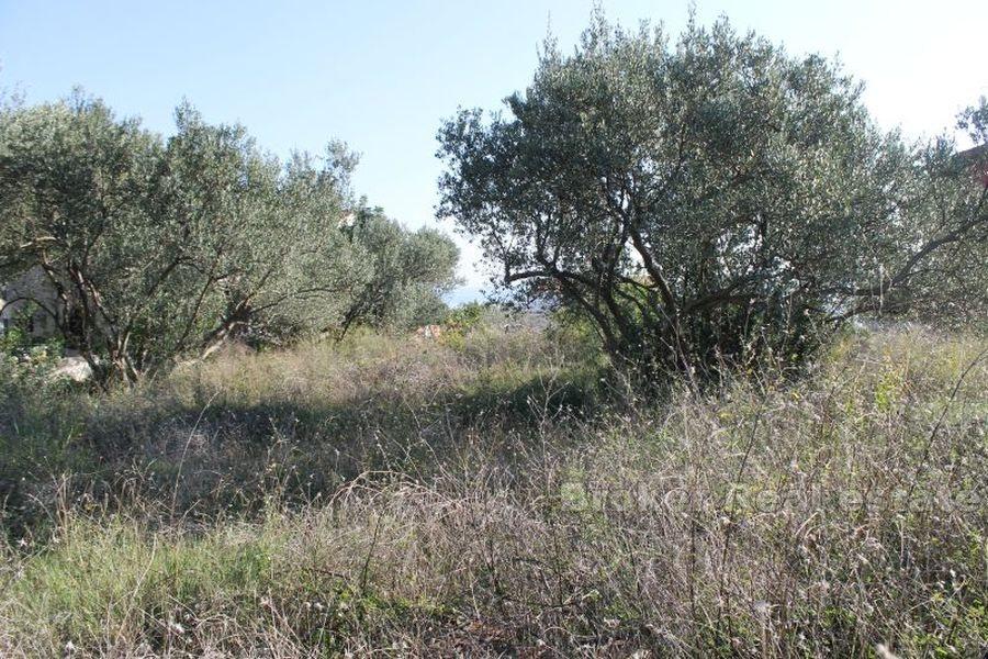 île de Ciovo, terrain à bâtir