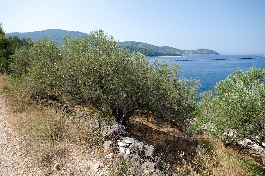 island of Korcula, land plot in a quiet bay