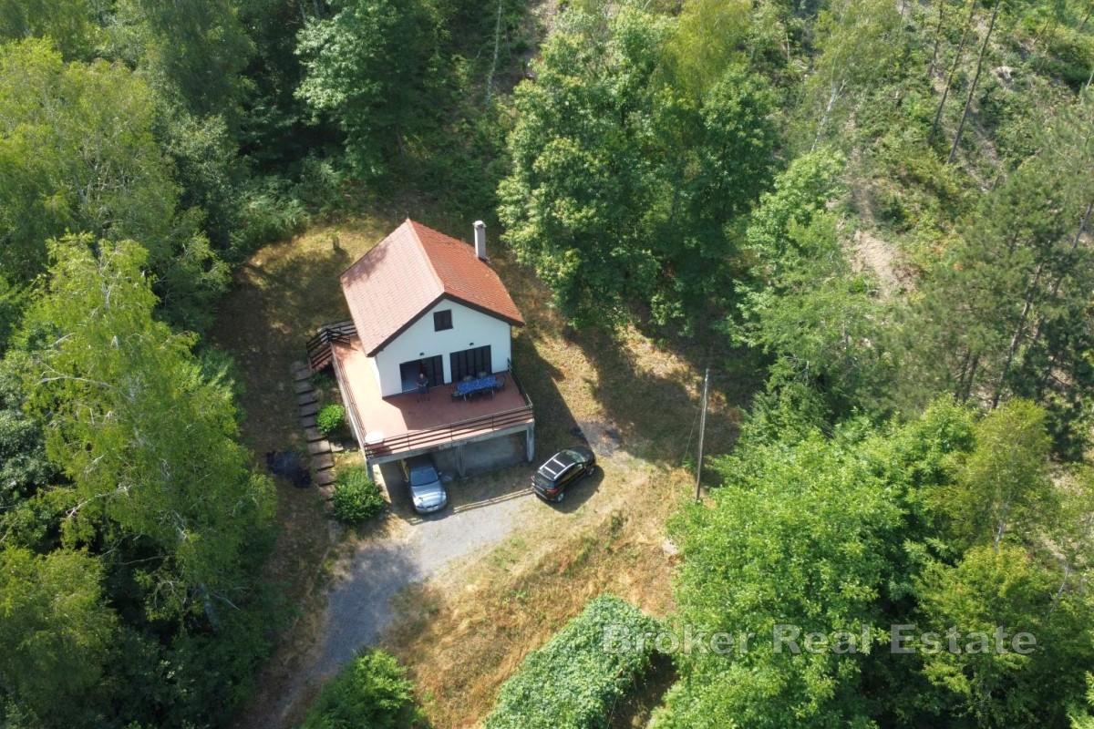 Dom nad rzeką Kupą