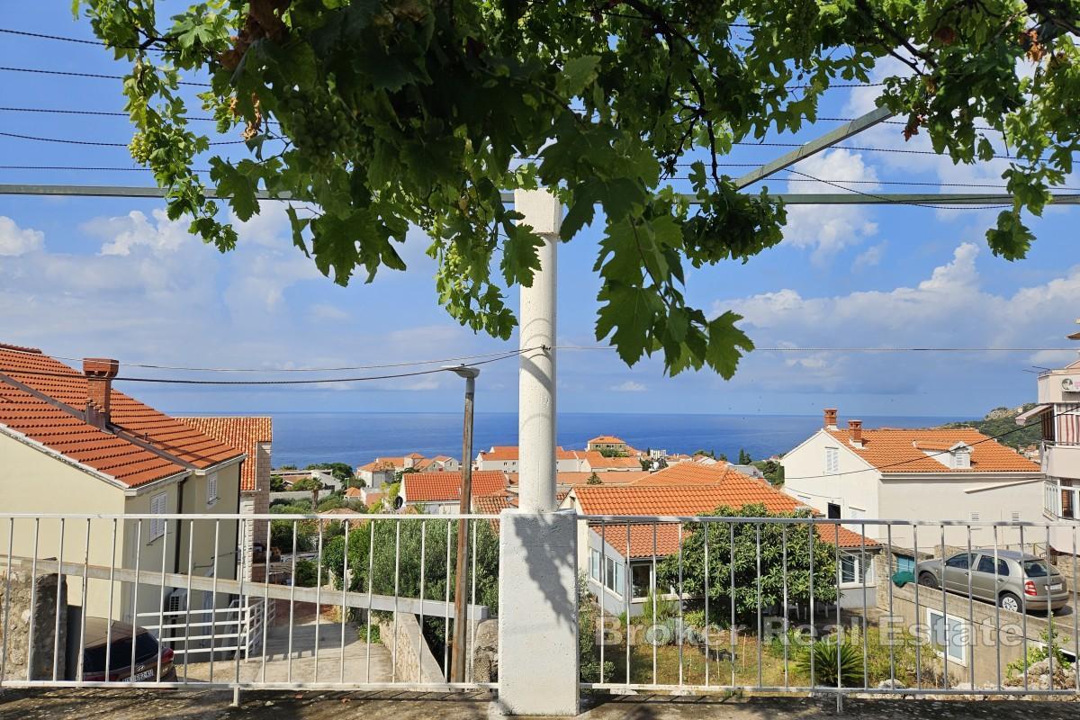 Dom z ogrodem i garażem w centrum miasta