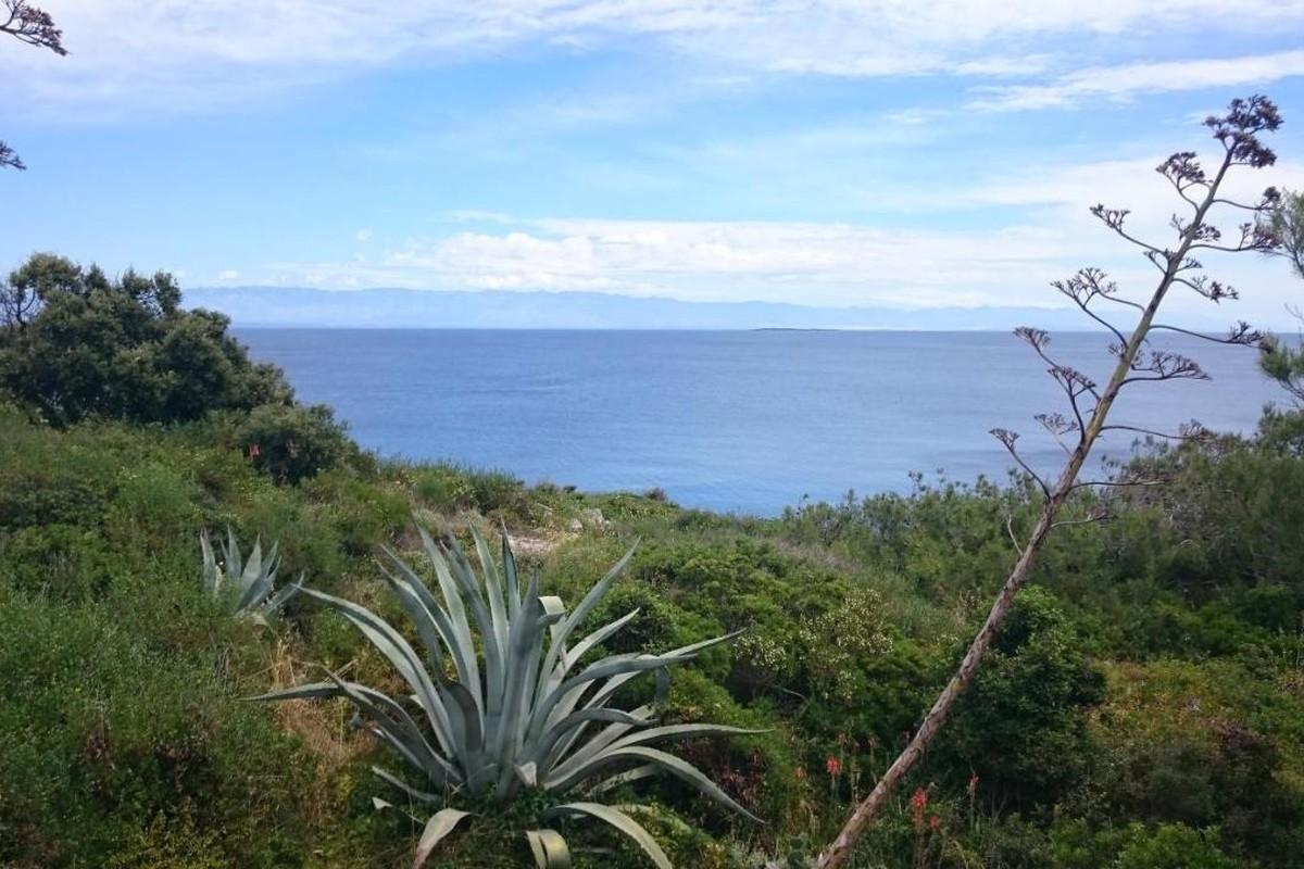 Hus i omedelbar närhet av havet