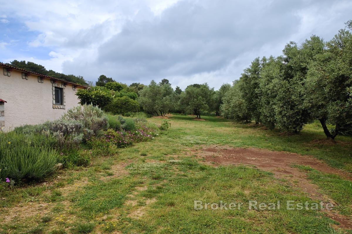 Земельный участок под застройку недалеко от моря