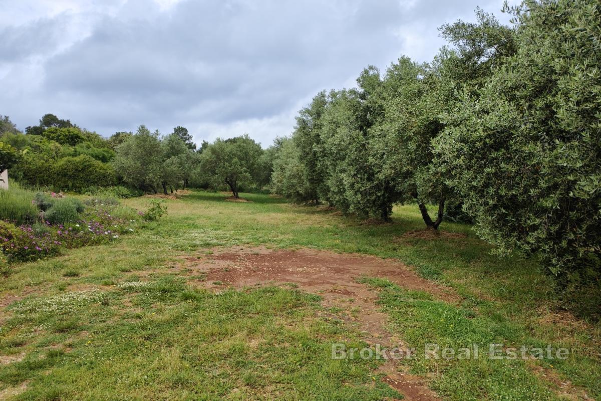 Byggmark inte långt från havet