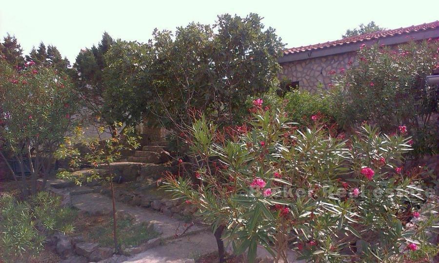 A semi-detached house - Island of Vis