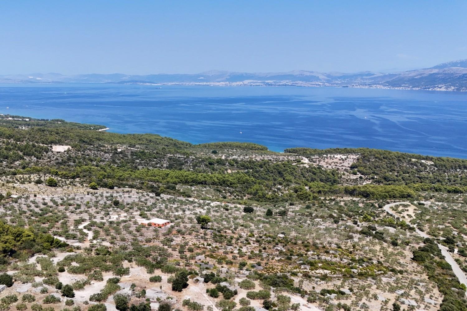 Vaste domaine avec oliveraie productive et vue dégagée