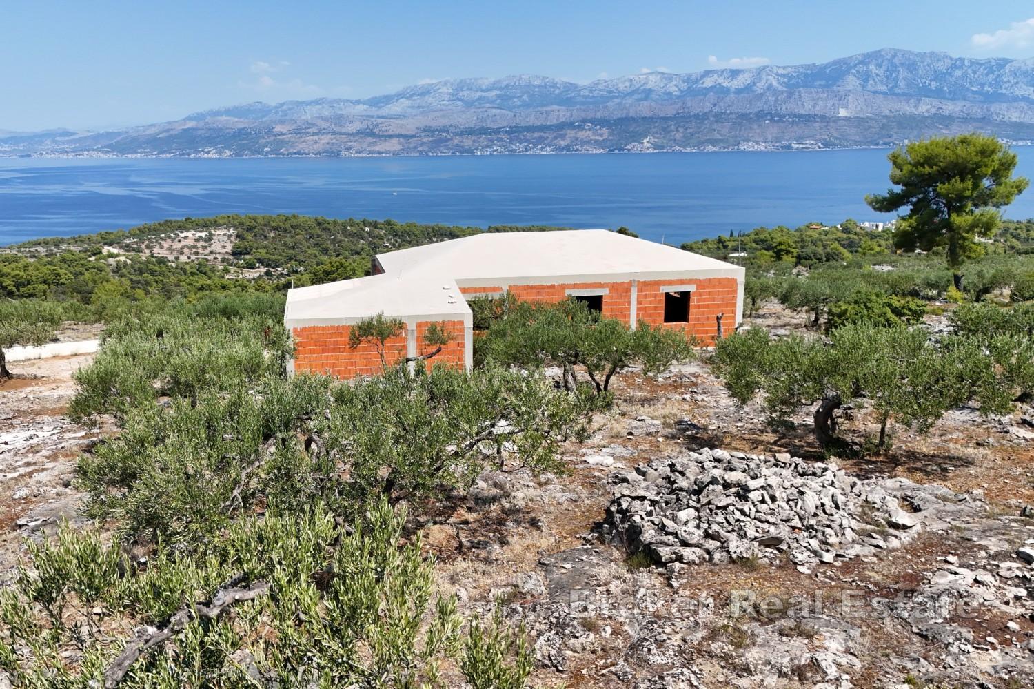 Vaste domaine avec oliveraie productive et vue dégagée