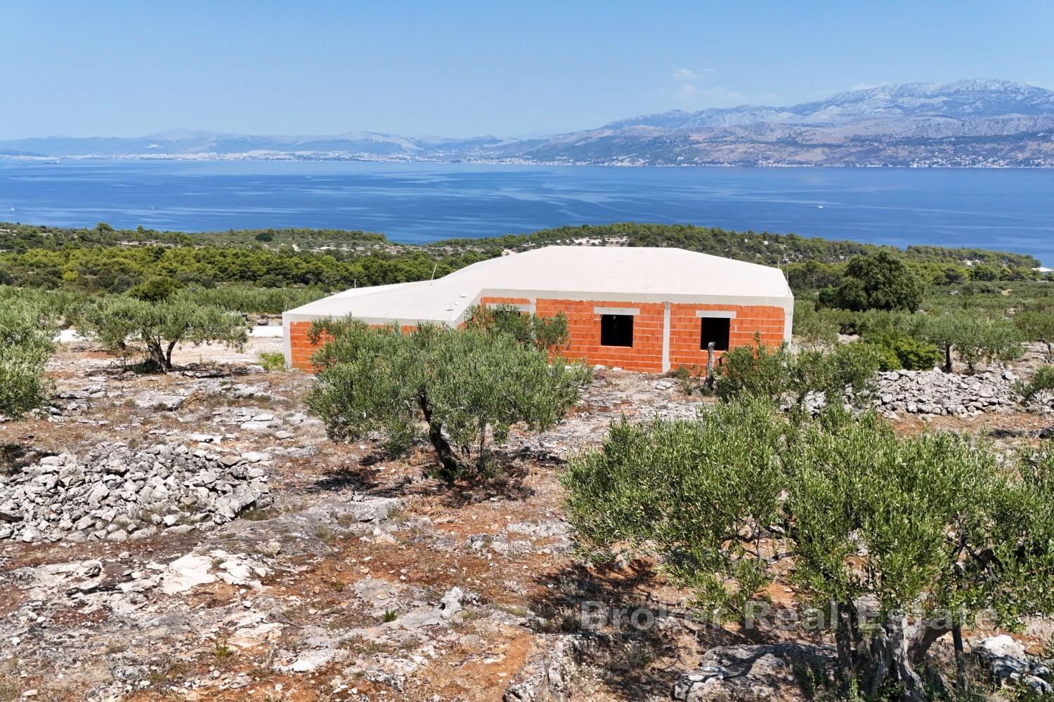 Vaste domaine avec oliveraie productive et vue dégagée
