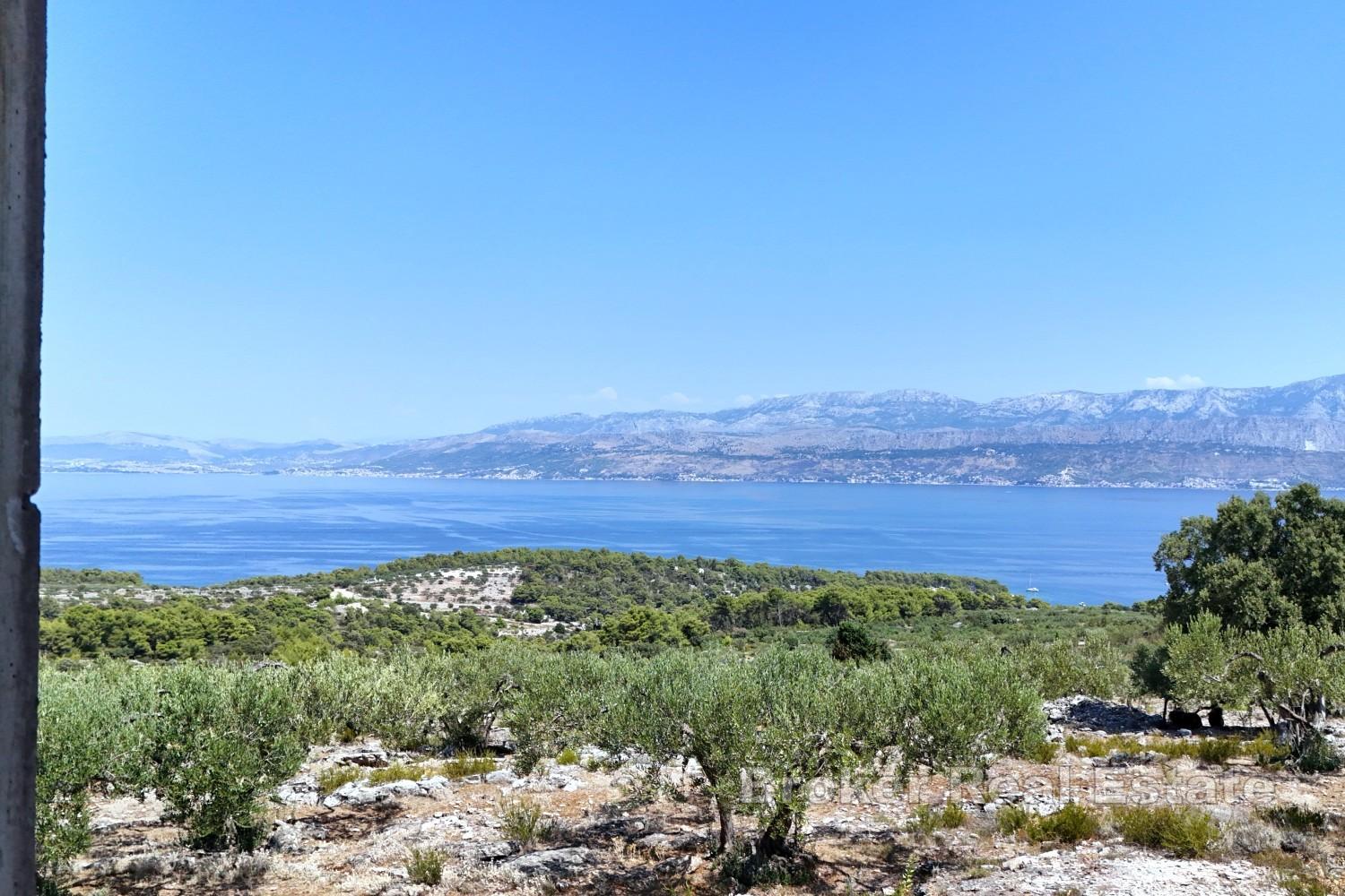 Vaste domaine avec oliveraie productive et vue dégagée