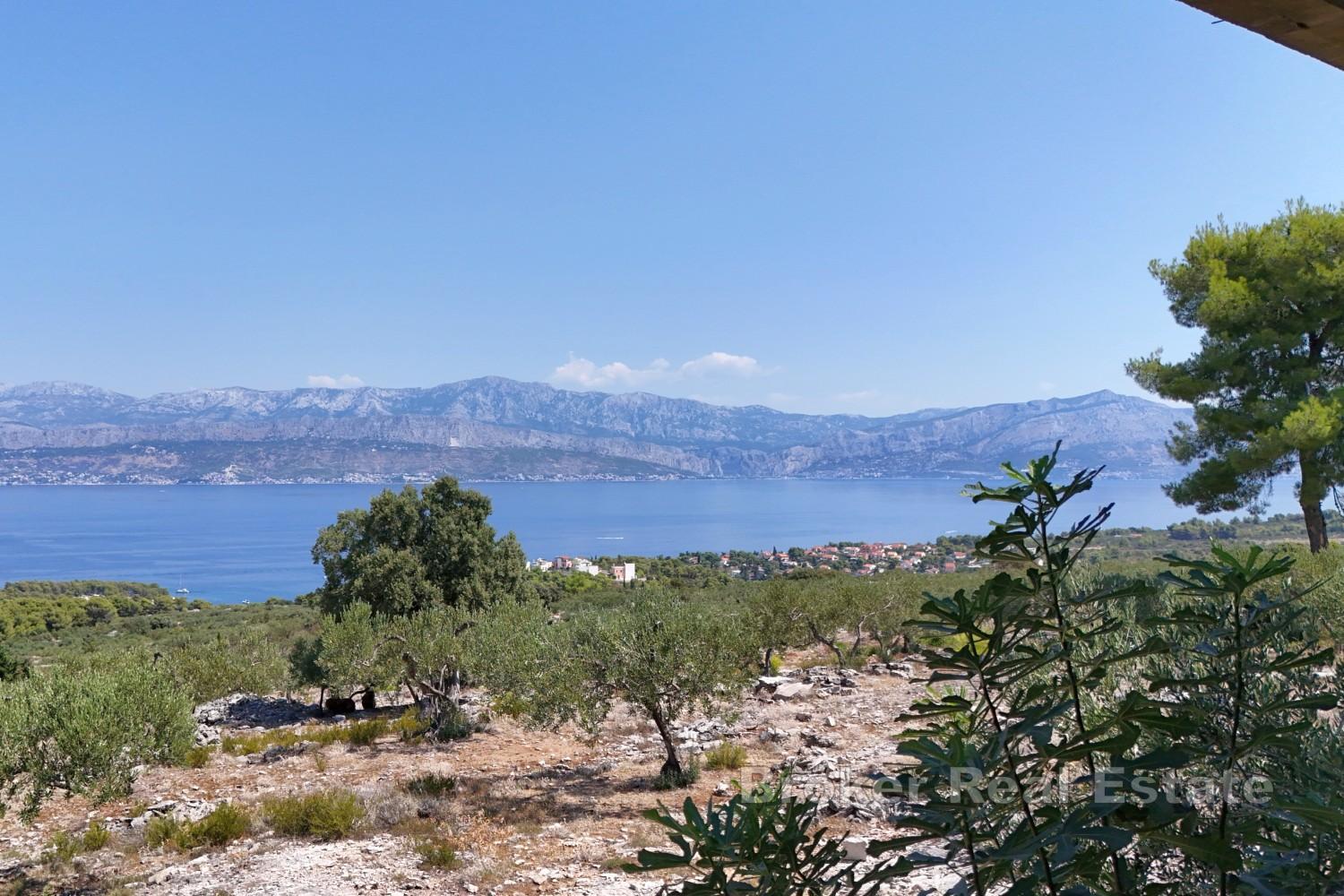 Vaste domaine avec oliveraie productive et vue dégagée