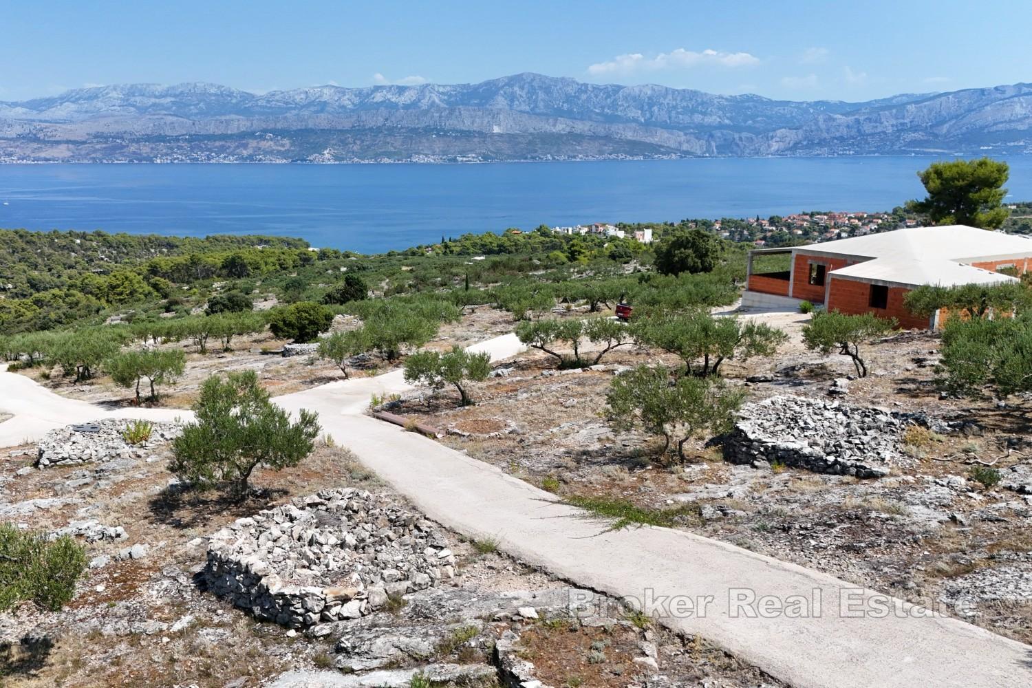 Vaste domaine avec oliveraie productive et vue dégagée