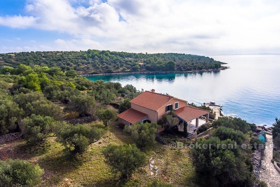 Kornati, maison sur la mer, sur un petit îlot