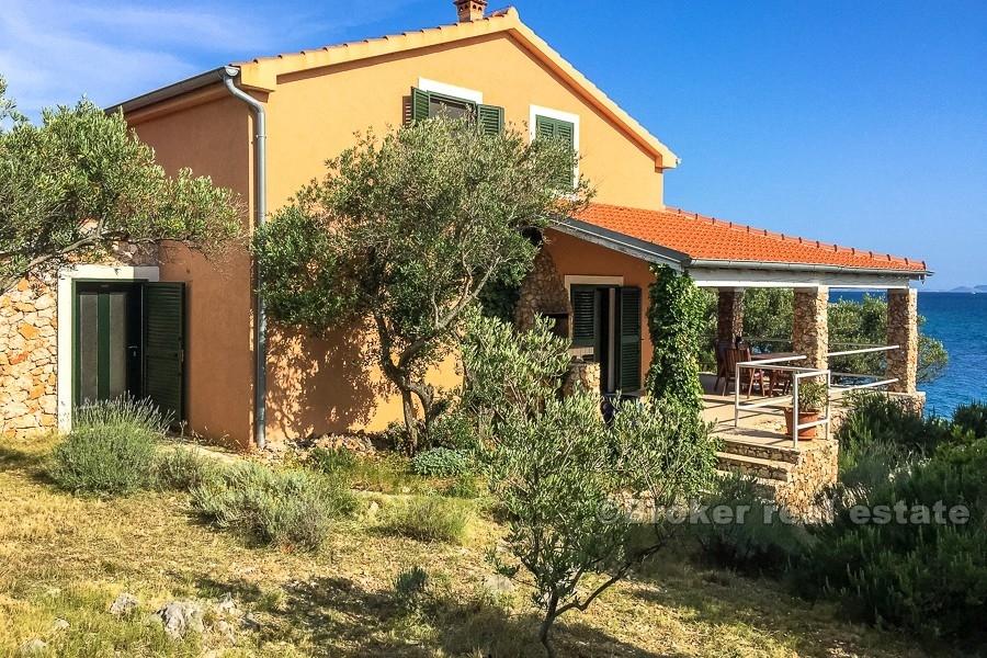 Kornati, maison sur la mer, sur un petit îlot