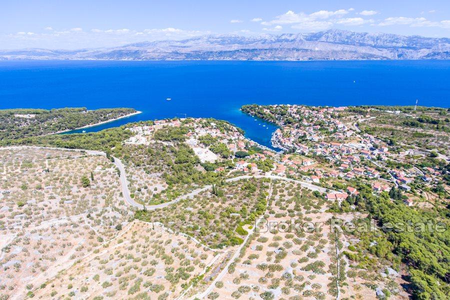 Ön Brac - Land med havsutsikt och kusten