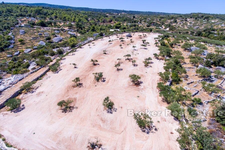 Øya Brac - Land med havutsikt og kysten