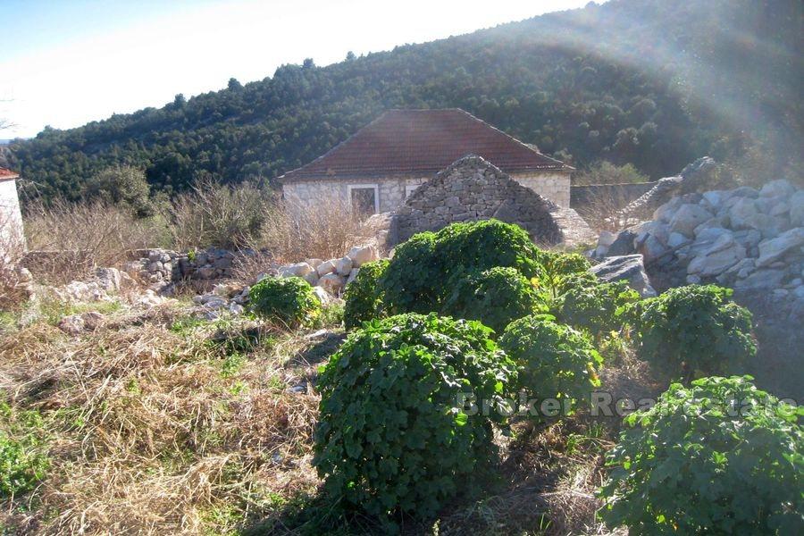 Près de Marina, maison en pierre - ruine