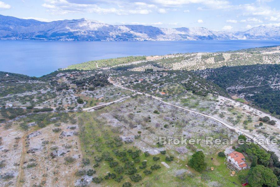 Øya Brac - Land med stein ruin
