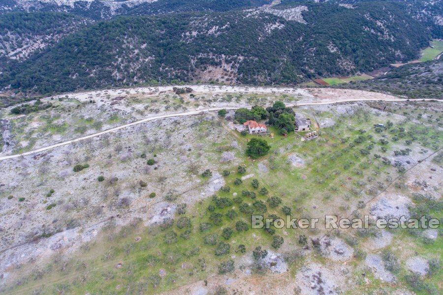 Ostrov Brač - země se zříceninou kamene