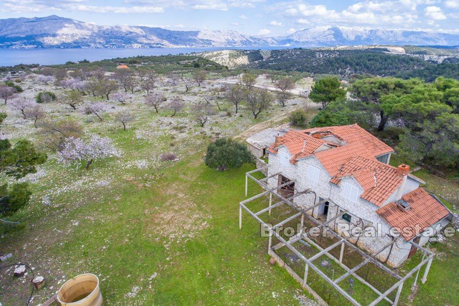 Øya Brac - Land med stein ruin