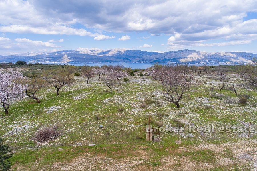 Ostrov Brač - země se zříceninou kamene