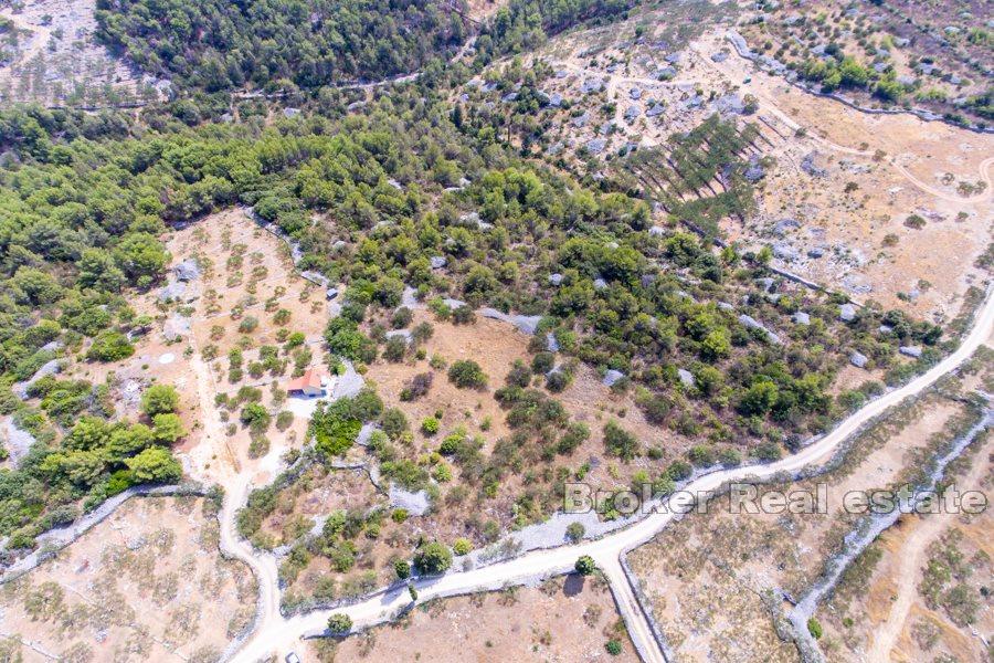 Øya Brac - Romslig land med stort potensial