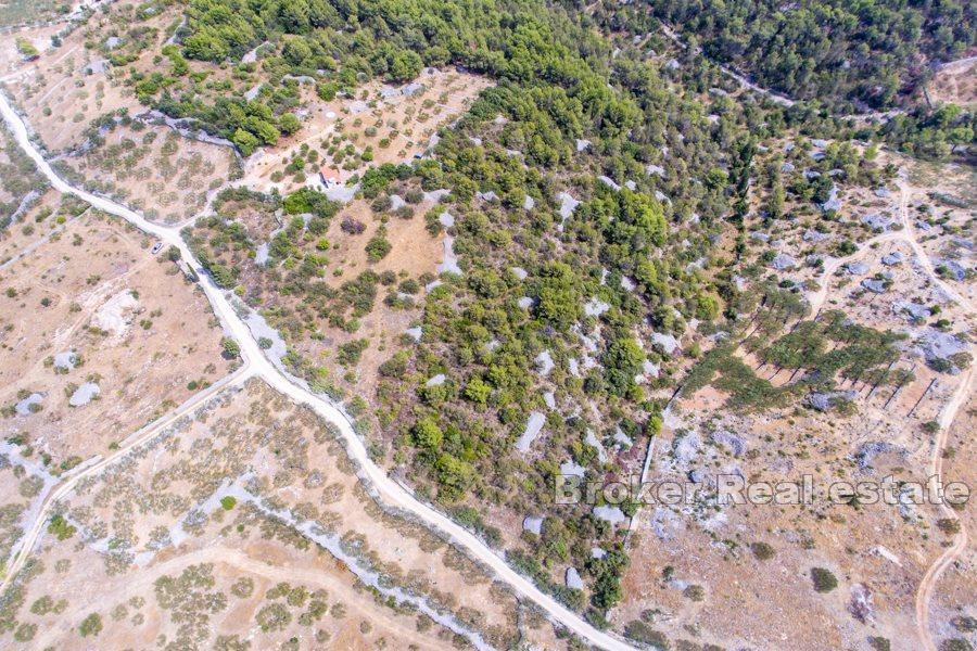 Øya Brac - Romslig land med stort potensial