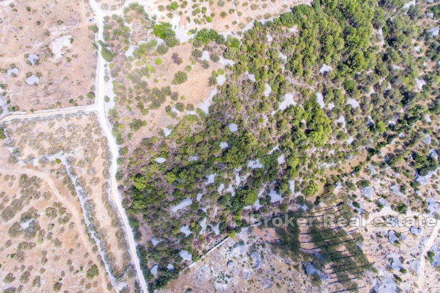 Wyspa Brac - Przestronna kraina o dużym potencjale