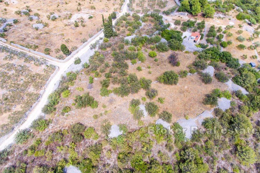 Øya Brac - Romslig land med stort potensial