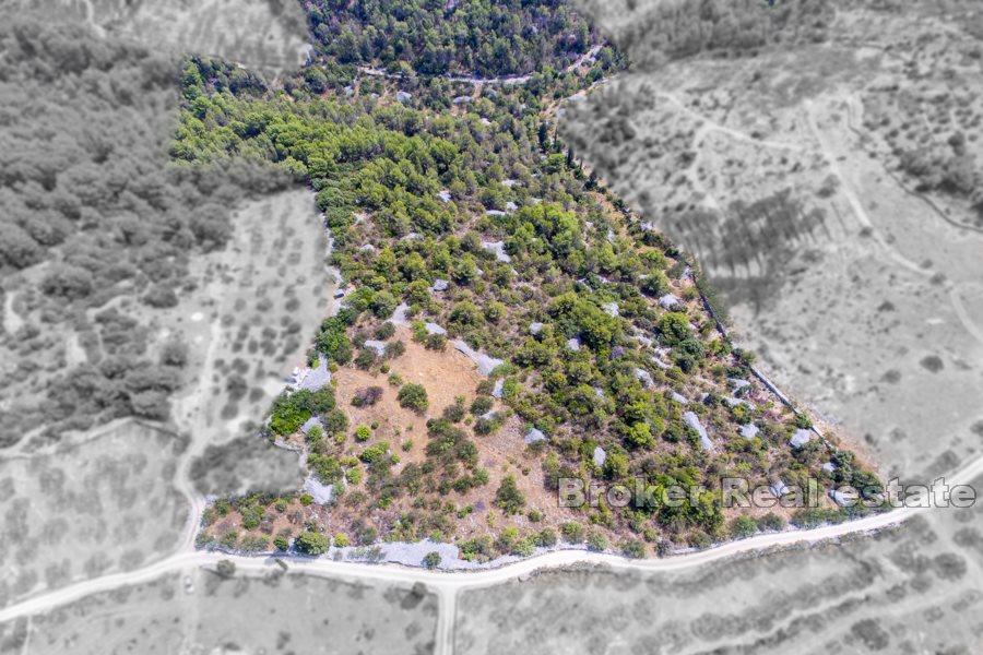 Øya Brac - Romslig land med stort potensial