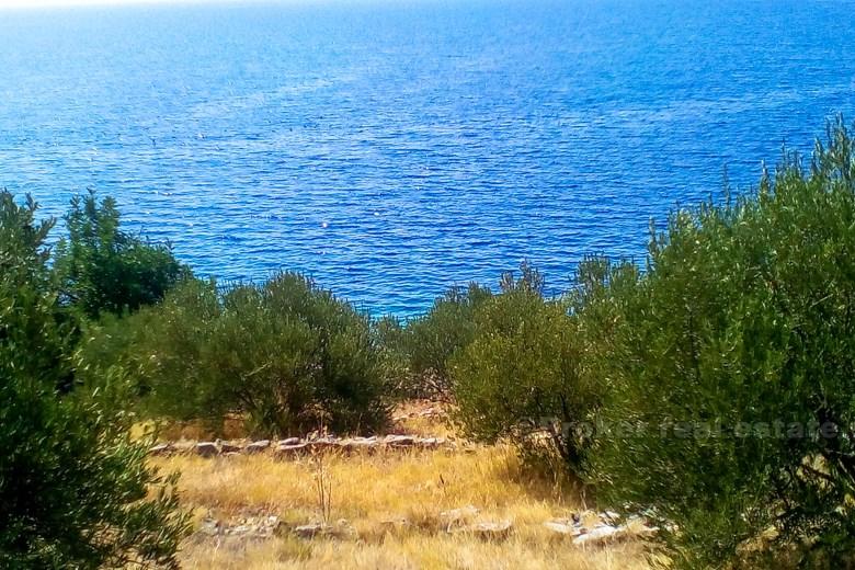 øya Korcula. Bygge land med en fantastisk beliggenhet