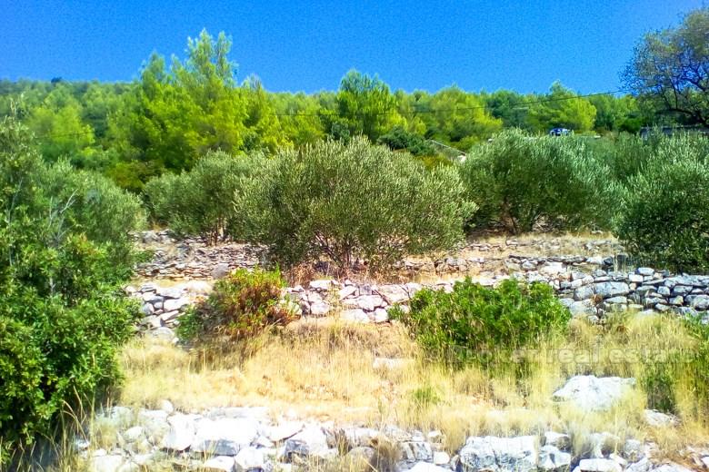 island of Korcula. Building land in a wonderful location