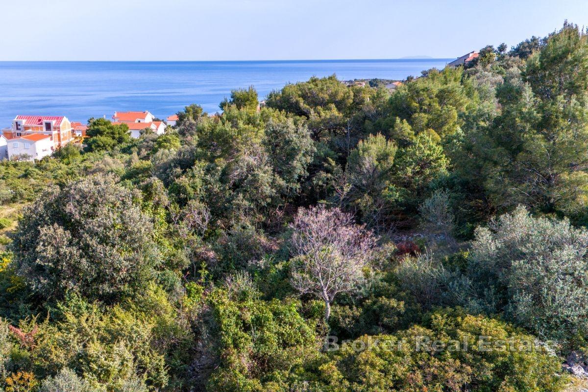 Terrain constructible avec vue panoramique sur la mer