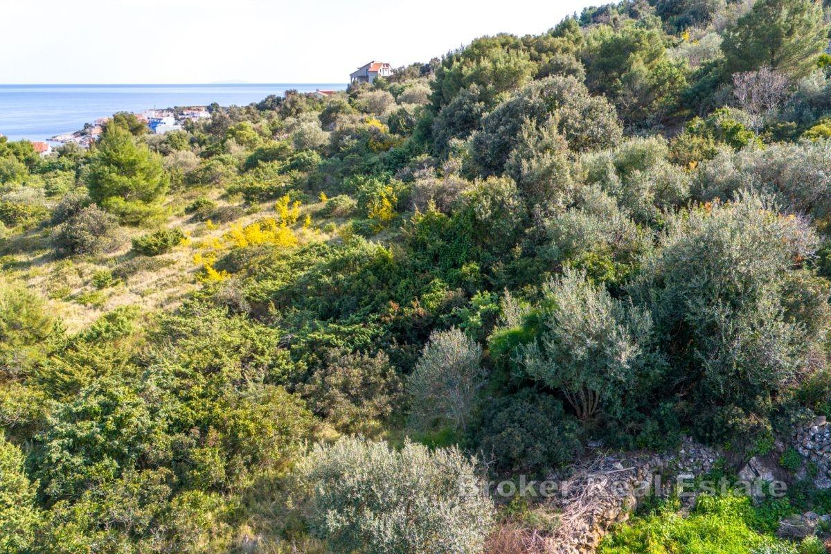 Terrain constructible avec vue panoramique sur la mer