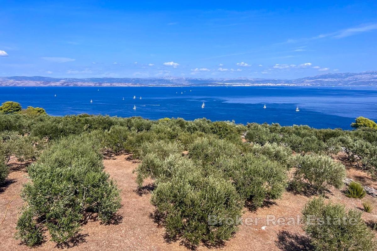 Rymlig fastighet med olivlund och havsutsikt