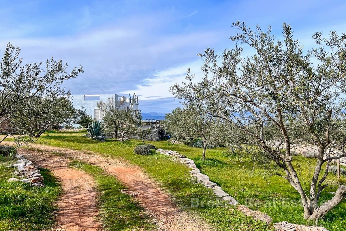 Rymlig fastighet med olivlund och havsutsikt