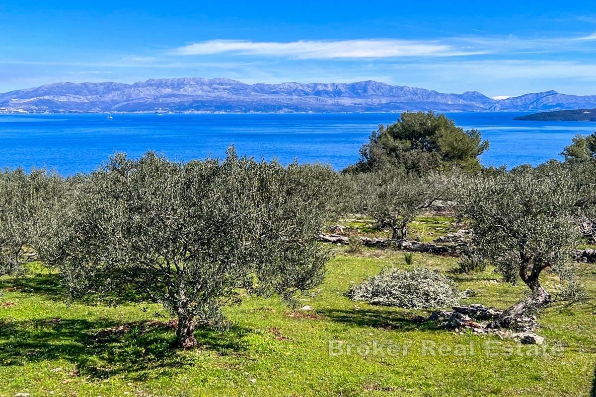 Großzügiges Anwesen mit Olivenhain und Meerblick