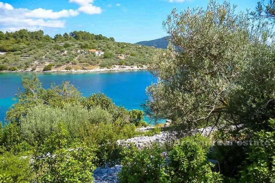 Island of Korcula, building land near the sea