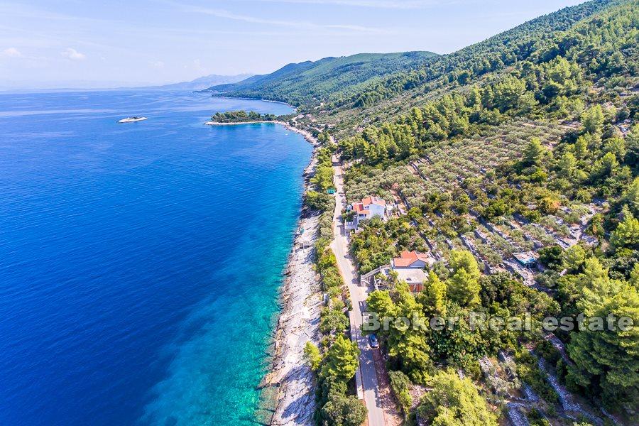 Île de Korcula, terrain constructible en bord de mer