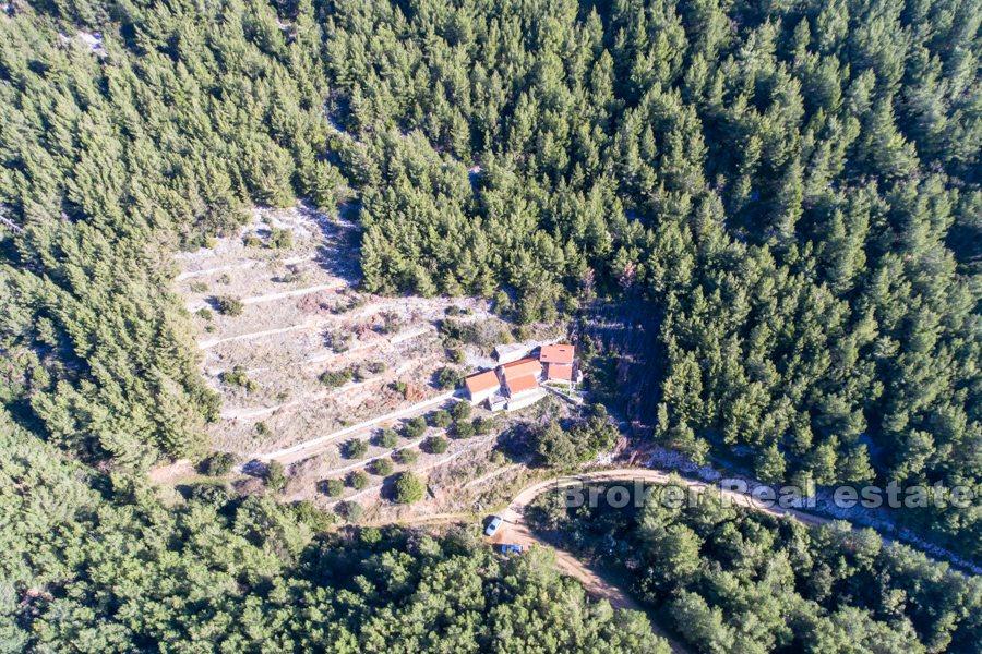 Øya Korcula - Tre bygg med utsikt i naturmiljø