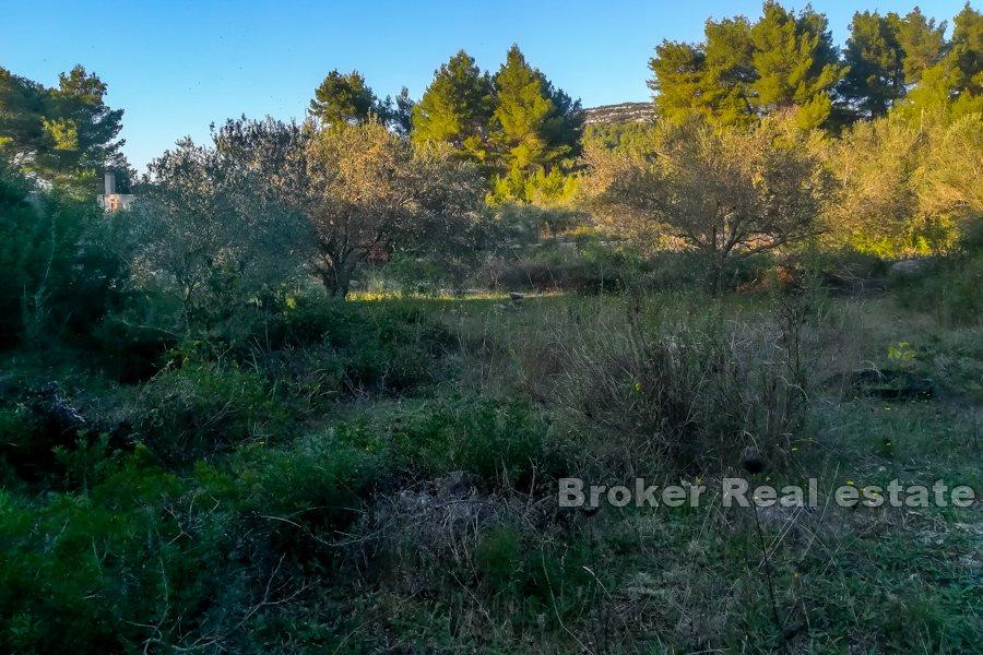 Insel Korcula, Bauland mit Meerblick