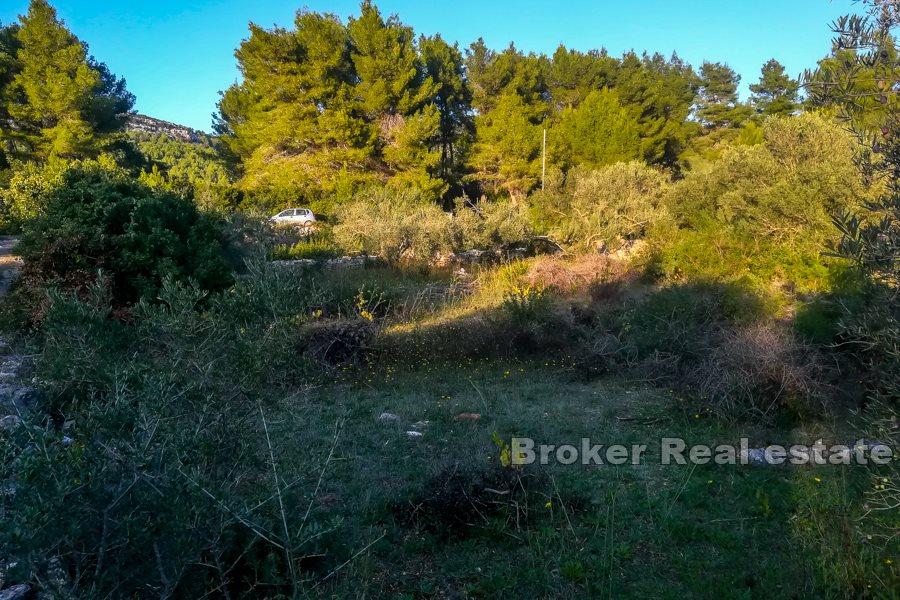 Insel Korcula, Bauland mit Meerblick