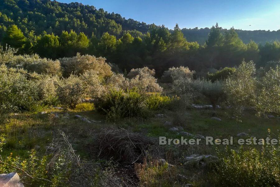 Insel Korcula, Bauland mit Meerblick