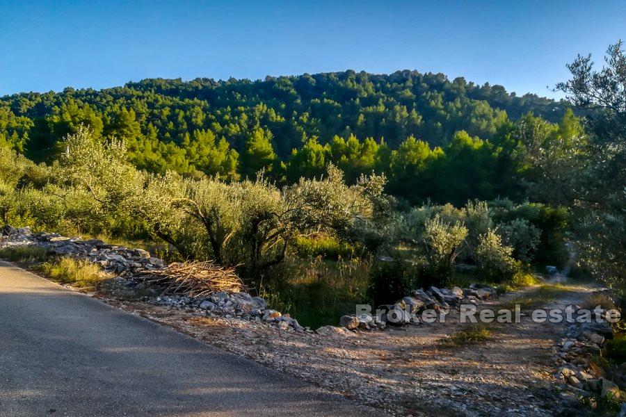 Insel Korcula, Bauland mit Meerblick