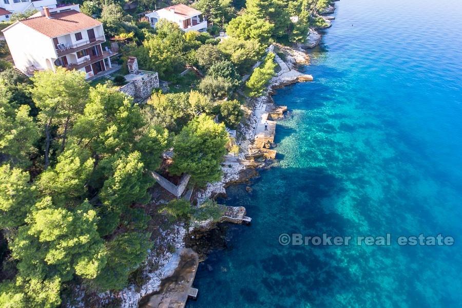 Остров Чиово - дом, расположенный у соснового леса