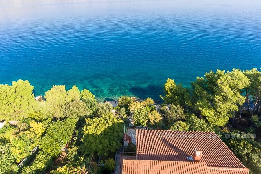 Øya Ciovo - hus som ligger ved furuskogen