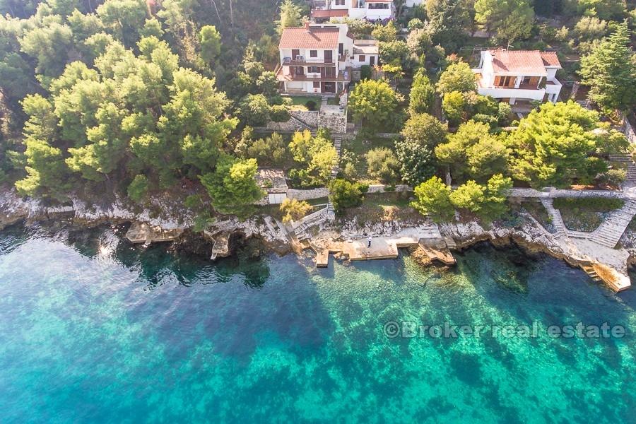 Øya Ciovo - hus som ligger ved furuskogen