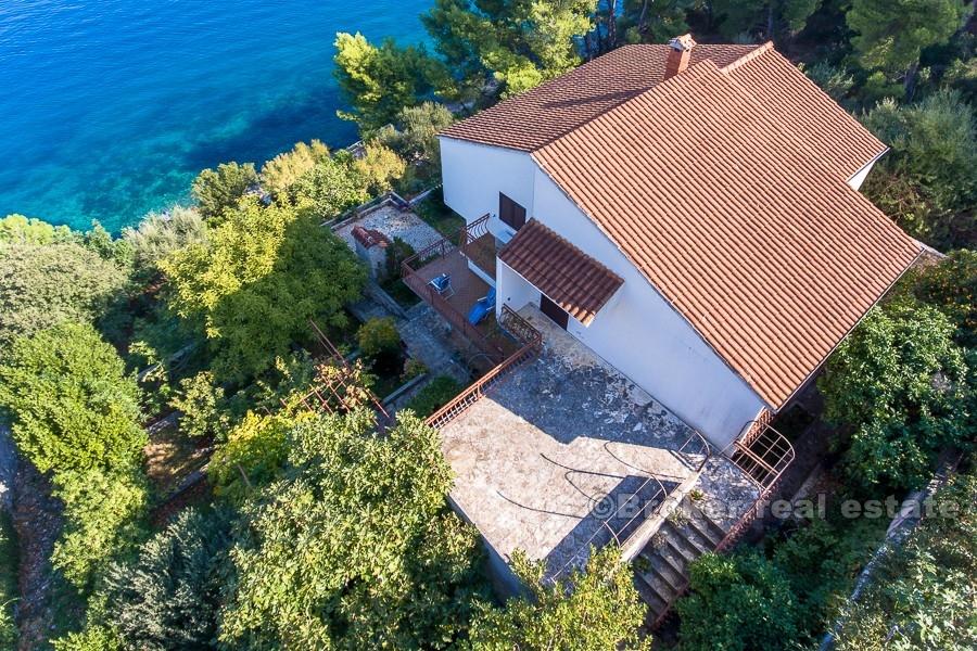 Øya Ciovo - hus som ligger ved furuskogen