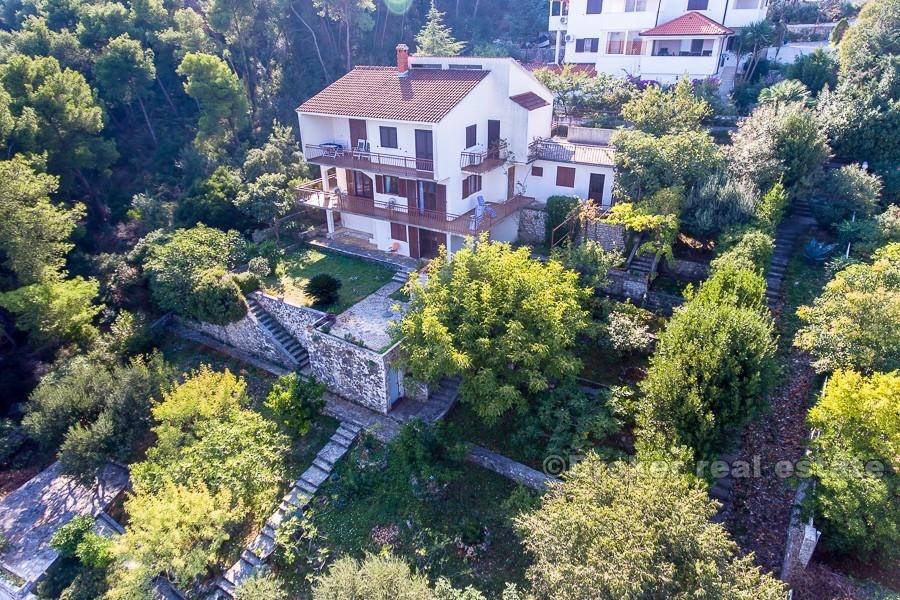 Øya Ciovo - hus som ligger ved furuskogen