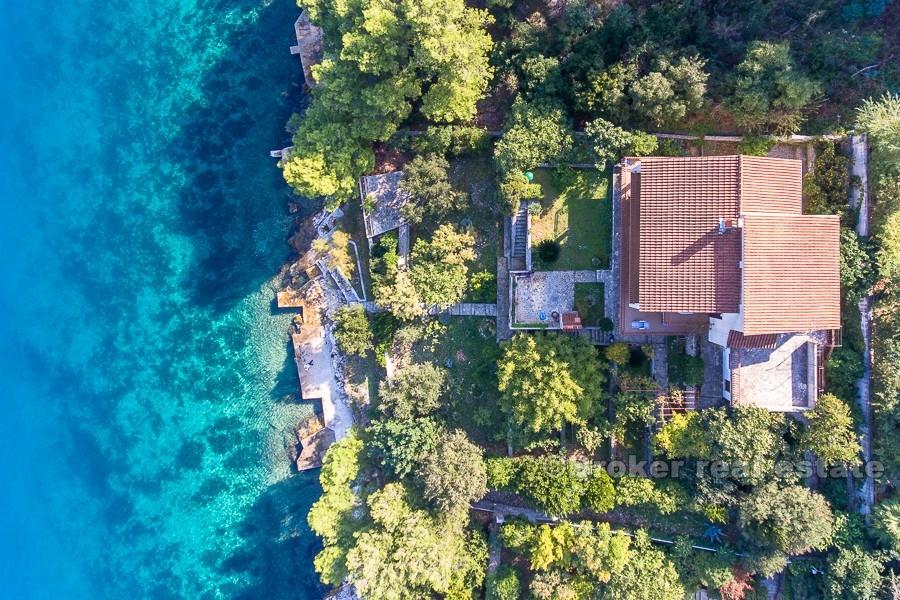 Insel Ciovo - Haus am Pinienwald