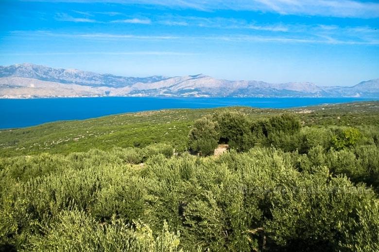 Остров Брач. земля с домом