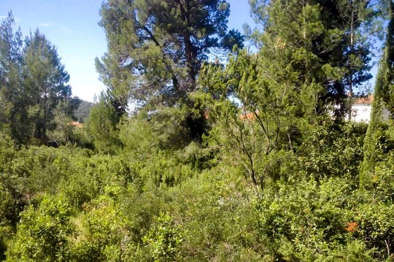 Island of Korcula, total of 7 land plots